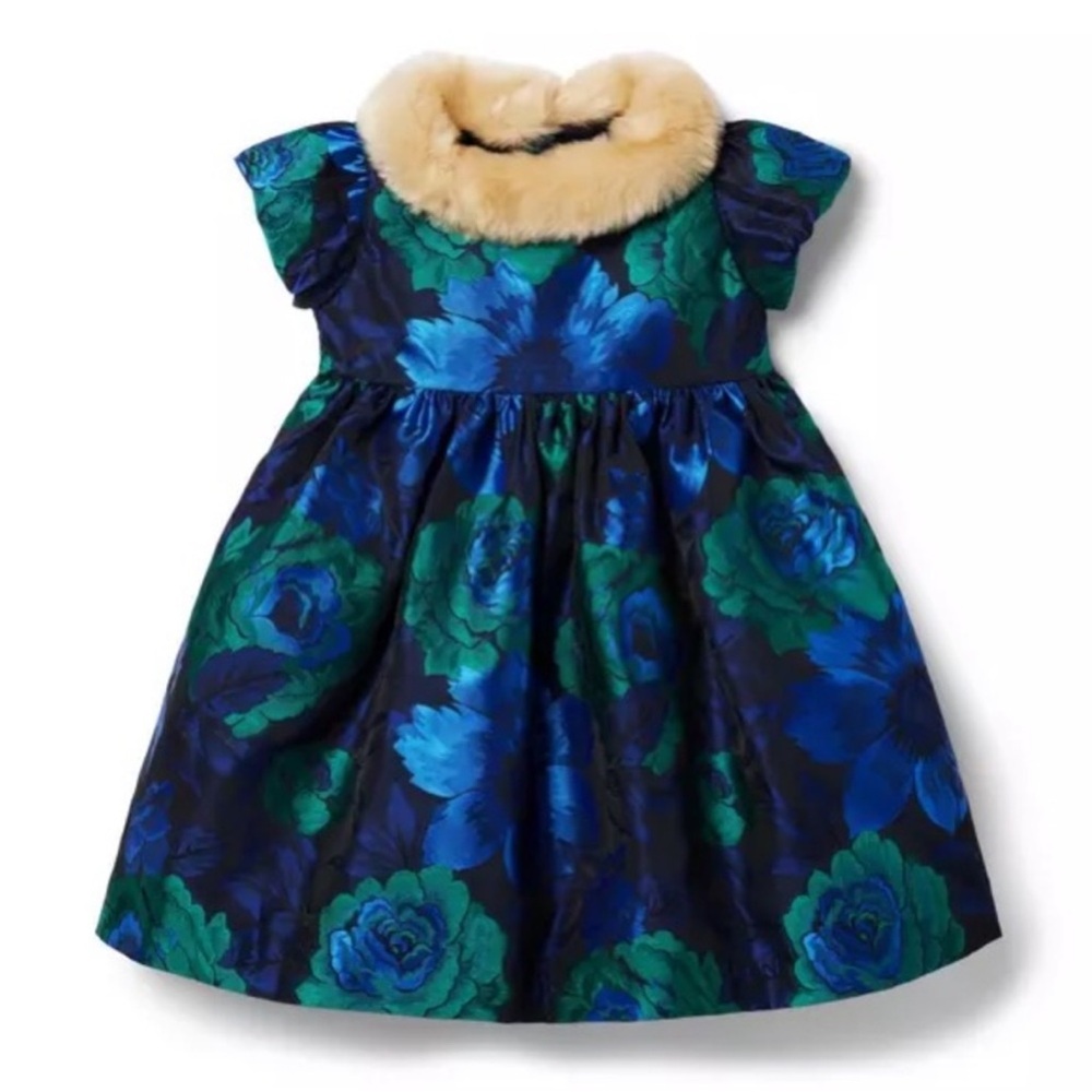 JANIE and JACK Floral Jacquard Faux Fur Collar Dress Sizes 7, 12, and 6-12 Month